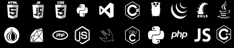 Full Stack Developer